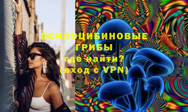 бошки Алзамай