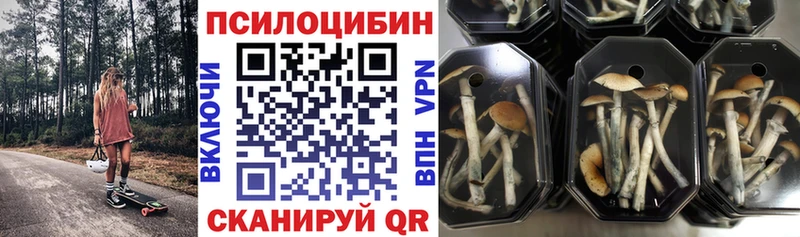 Псилоцибиновые грибы Magic Shrooms  Купить  Новомичуринск 