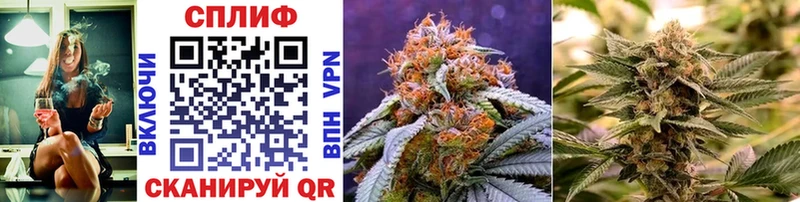 Купить где  Новомичуринск  МАРИХУАНА White Widow 